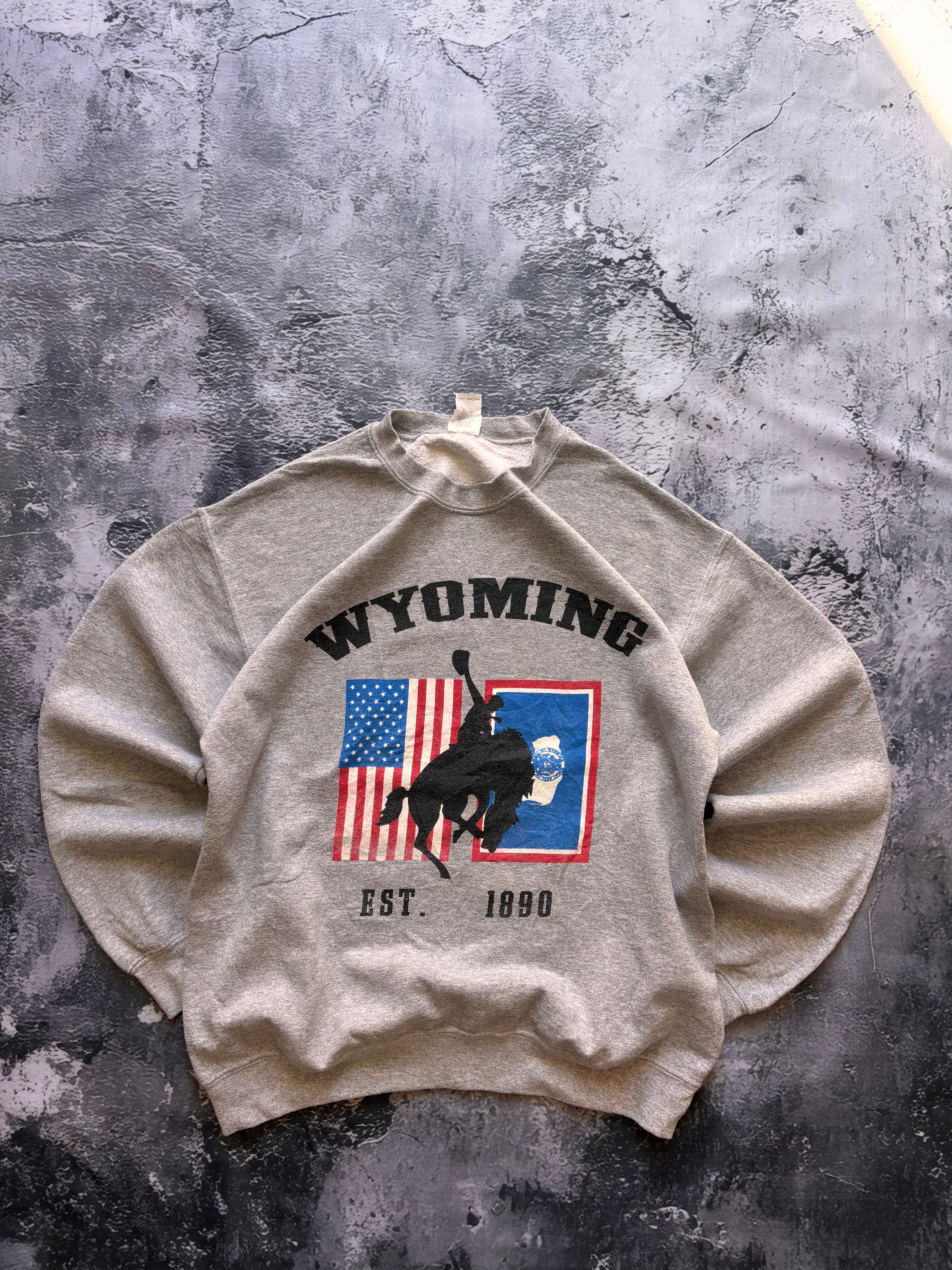 bluza crewneck WYOMING szara nadruk