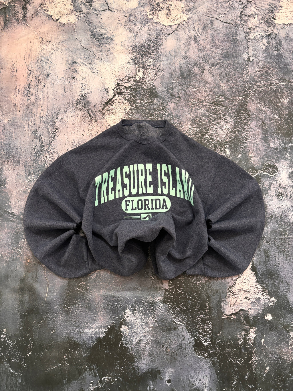 Bluza crewneck florida usa