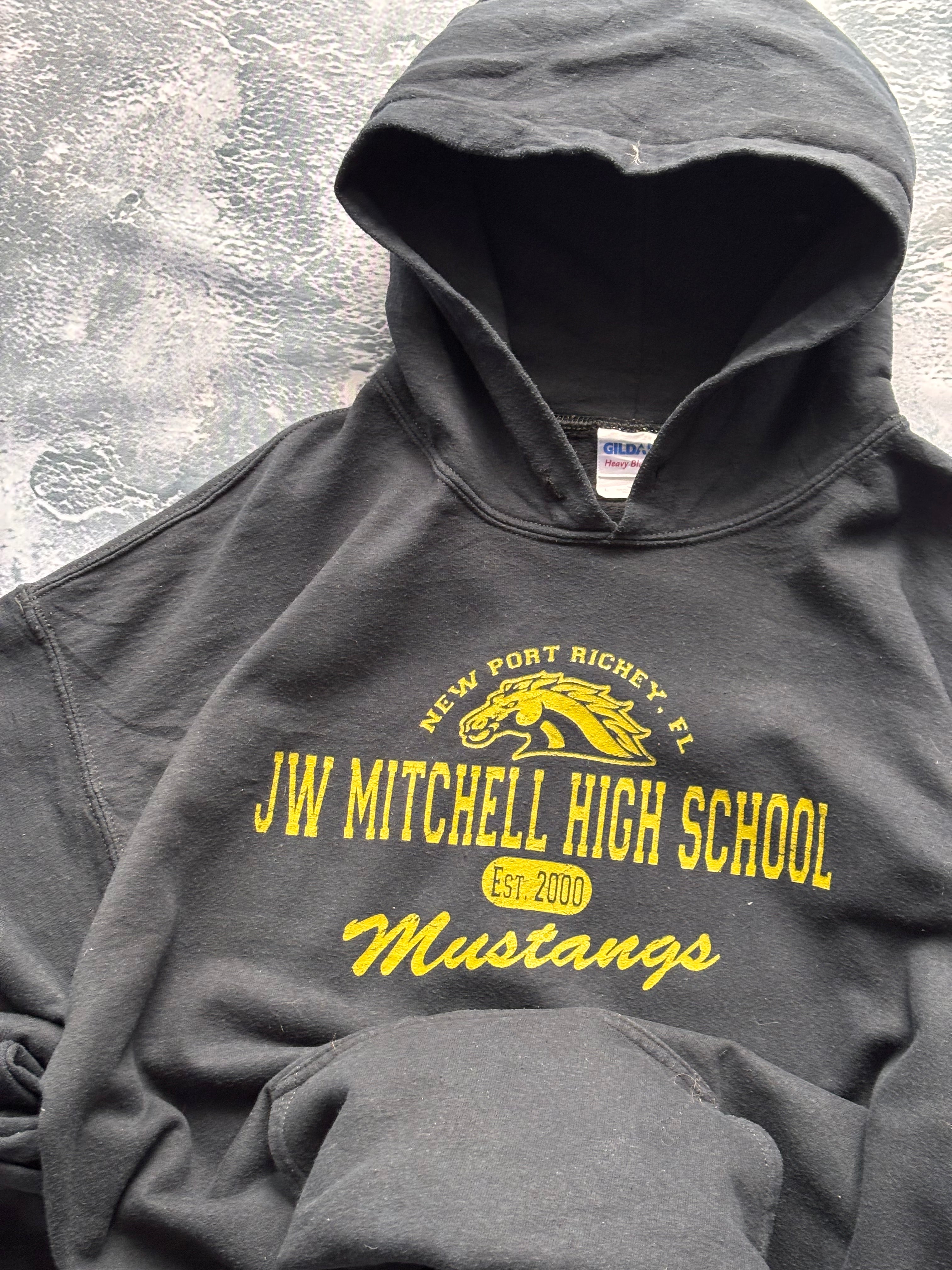 Bluza hoodie uniwersytecka MITCHELL HIGH SCHOOL vintage