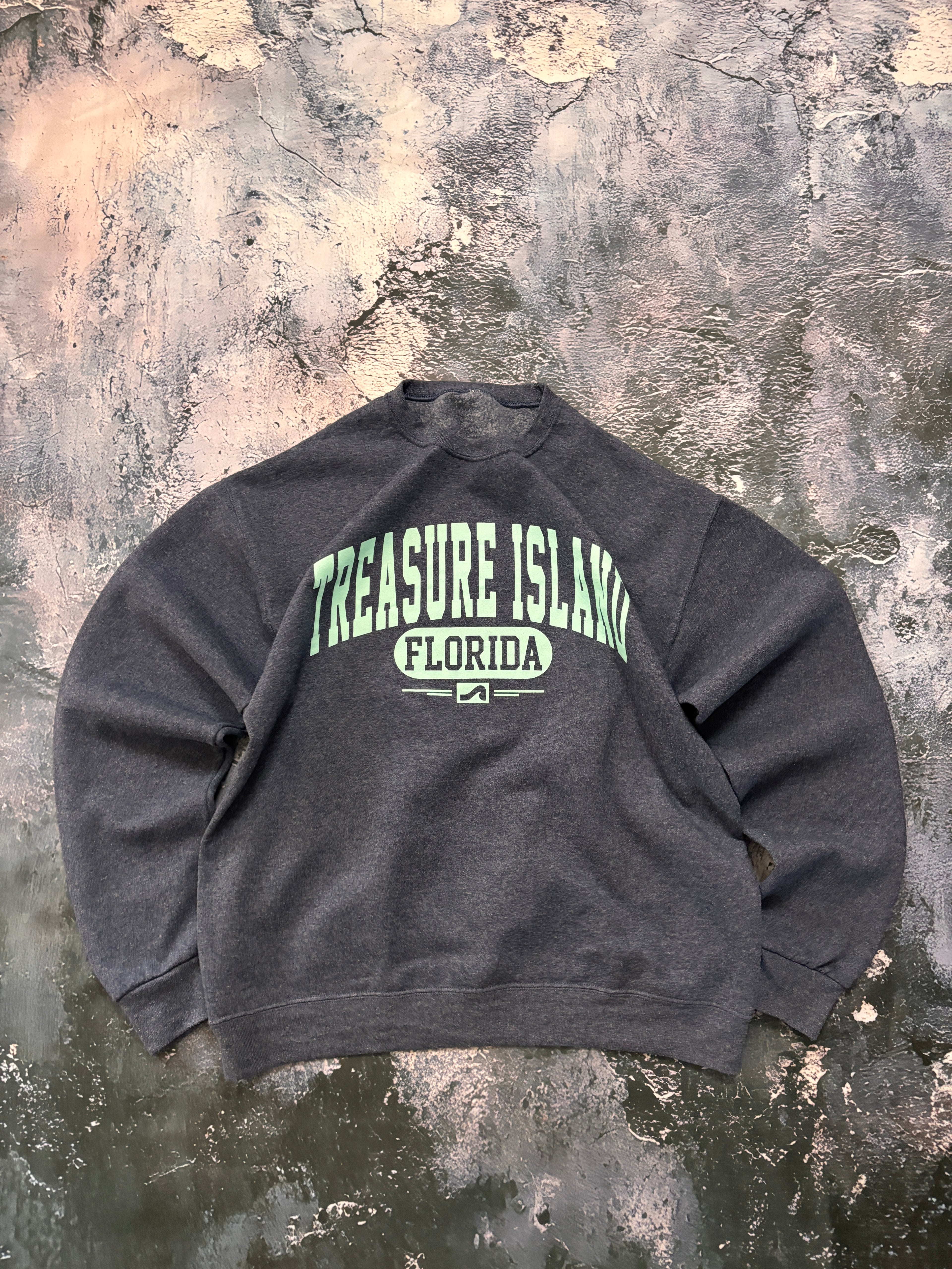 Bluza crewneck florida usa