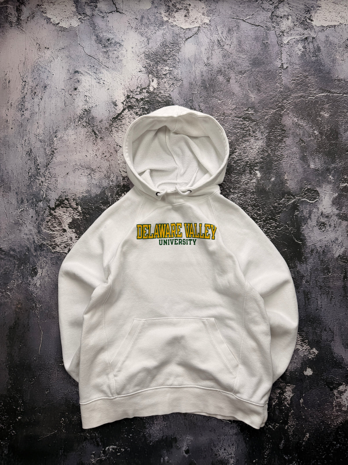 Bluza Delaware Valley University kremowa z kapturem — widok całej bluzy