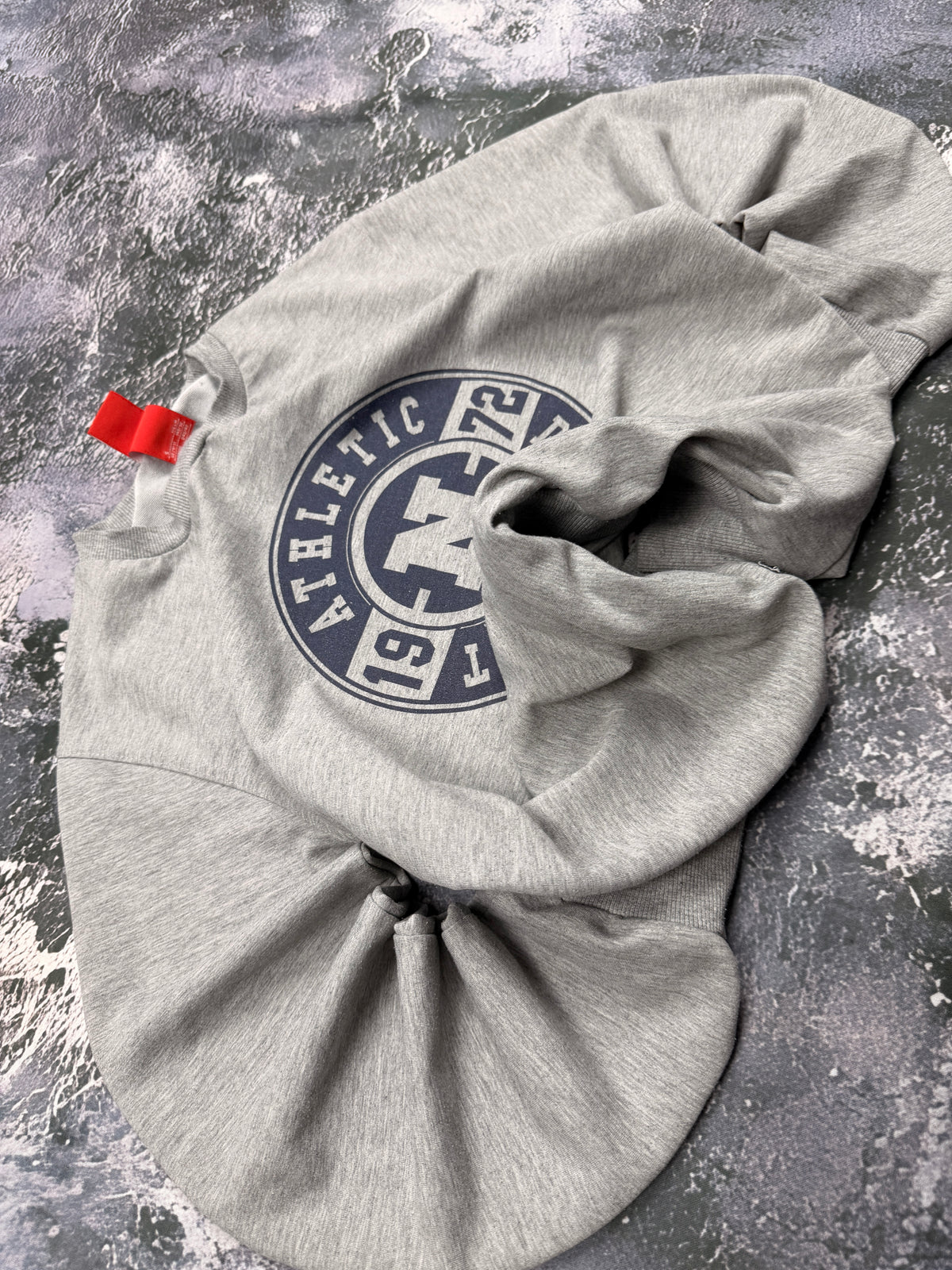 BLUZA CREWNECK SZARA VINTAGE UNIWERSYTECKA