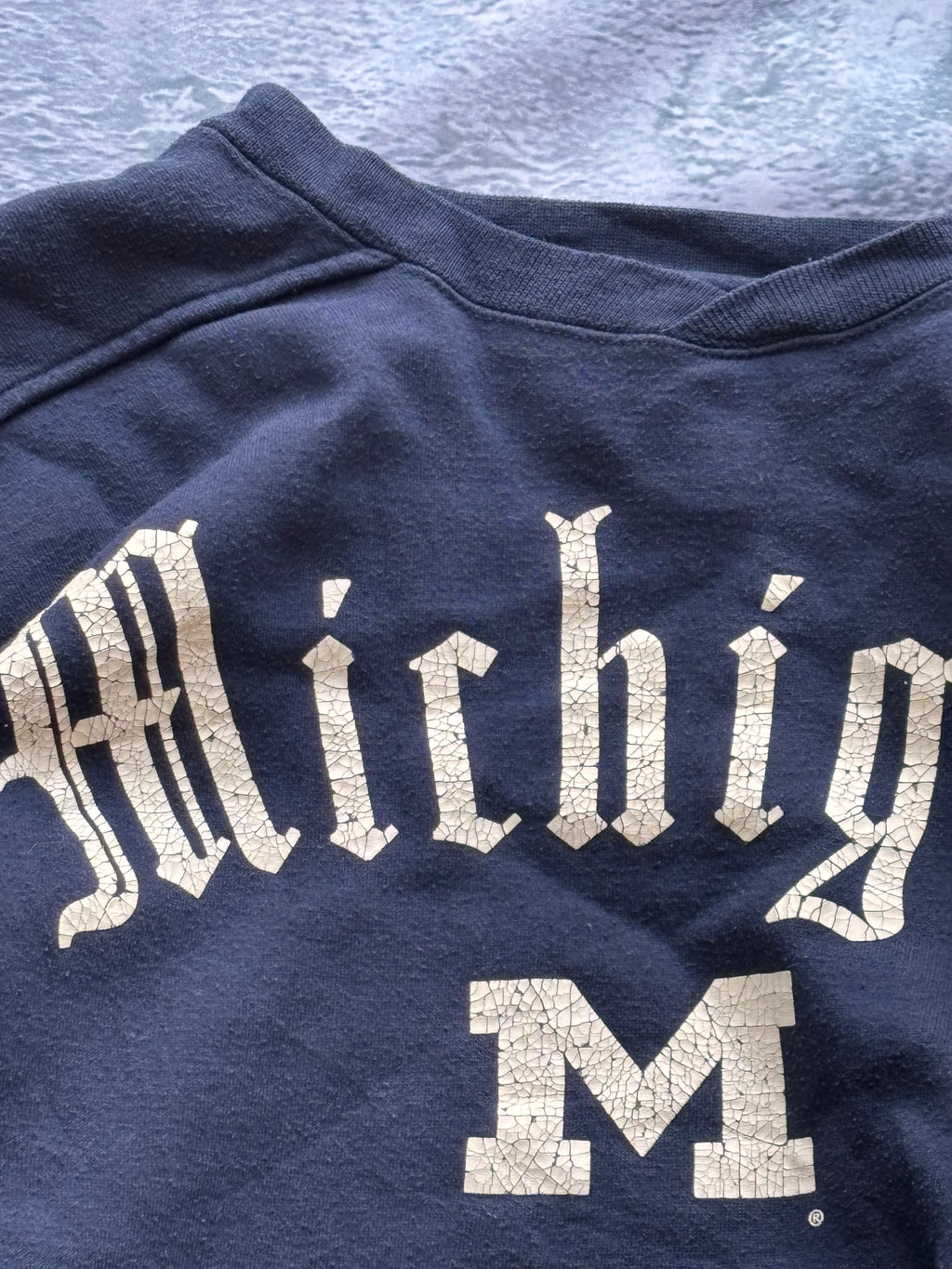 bluza crewneck MICHIGAN USA M streetwear 2000s